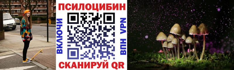 Галлюциногенные грибы MAGIC MUSHROOMS  кракен как зайти  Партизанск 