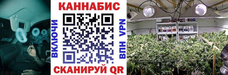 блэк спрут ссылки  Партизанск  Каннабис сатива 